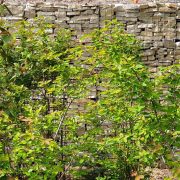 Dublin Zoo Gabions