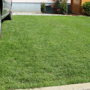 grass paving